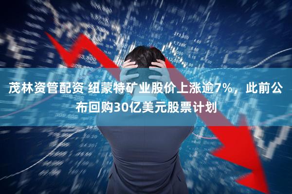 茂林资管配资 纽蒙特矿业股价上涨逾7%，此前公布回购30亿美元股票计划