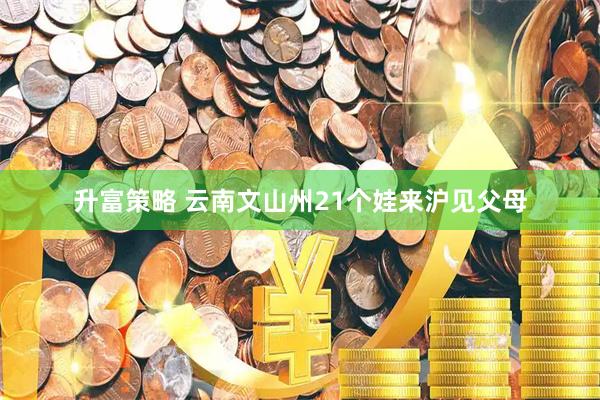 升富策略 云南文山州21个娃来沪见父母