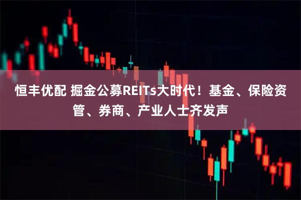 恒丰优配 掘金公募REITs大时代！基金、保险资管、券商、产业人士齐发声