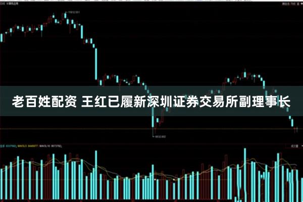 老百姓配资 王红已履新深圳证券交易所副理事长