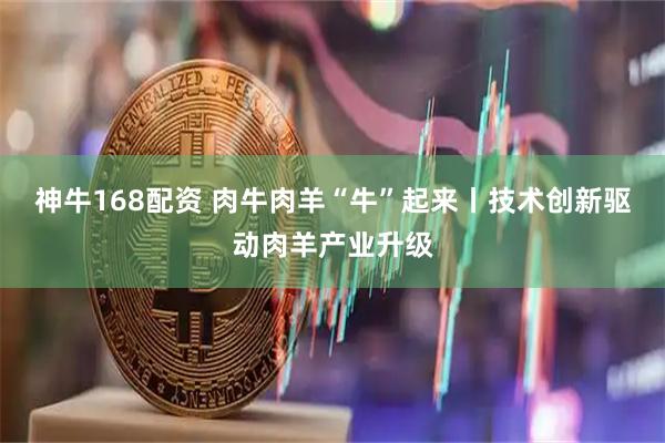 神牛168配资 肉牛肉羊“牛”起来丨技术创新驱动肉羊产业升级