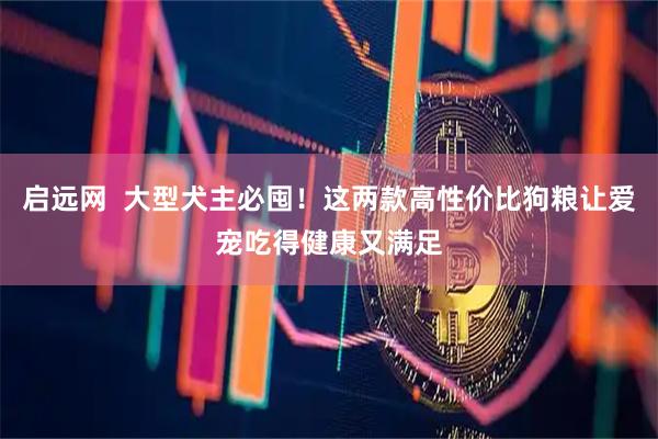 启远网  大型犬主必囤!这两款高性价比狗粮让爱宠吃得健康又满足